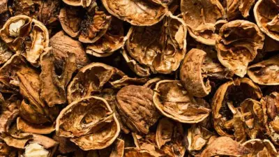 Ceviz Kabuklarını Sakın Çöpe Atmayın: Boğaz Ağrısına Doğal Çözüm