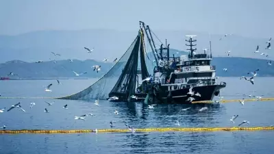 Denizlerde Av Yasağı Başlıyor: 15 Nisan'dan 31 Ağustos'a Kadar Geçerli