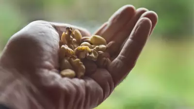 Dünyanın en iyi 15 kuruyemişi açıklandı: Listede 3 Türk markası var