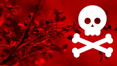 Dünyanın En Tehlikeli 14 Bitkisi: Dokunmak Bile Ölüm Sebebi