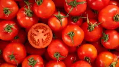 Dünyanın En İyi 10 Domatesi Açıklandı: Türkiye'den Bir Çeşit Listede!
