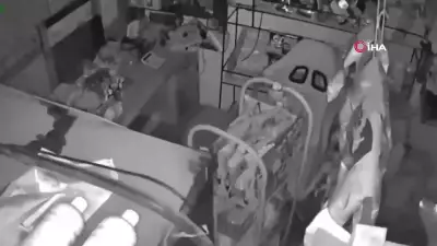 Endonezya'da 7.4 Büyüklüğünde Deprem: Tsunami Uyarısı ve Can Kaybı