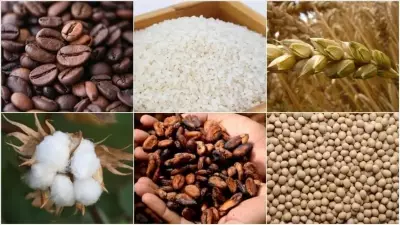 Enflasyon Korkusu Sürüyor: Değerli Metaller Negatif Seyirde, Gözler Merkez Bankalarında