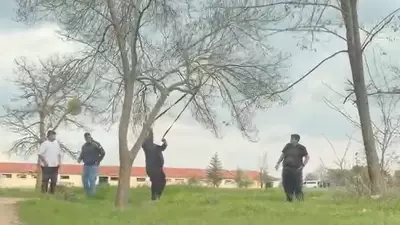 Eskişehir'de Mangal İçin Ağaç Dalı Kırmaya Çalışan Grubun Görüntüleri Tepki Topladı