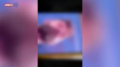 Gülistan Doku Cinayetinde Şok İtiraf: Valinin Oğlu Tecavüz ve Silahlı Saldırı İddiası