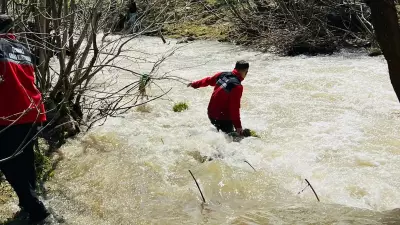Hakkari'de 8 yaşındaki çocuk dereye düşerek kayboldu, arama başlatıldı
