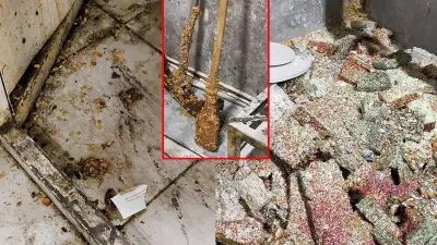 Hatay'da Kaçak İmalathanede Tüyler Ürperten Manzara: Lokum ve Cezerye Üretiliyordu