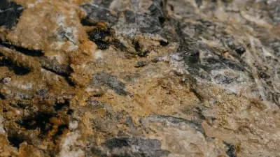 Herkesin 'çöp' dediği taş meğer servetmiş! İçinden lityum çıktı