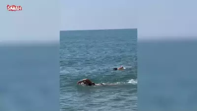 Hülya Avşar tenis maçı öncesi havuzda yüzdü