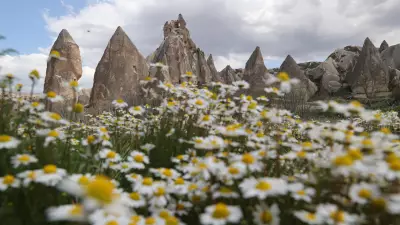 Kapadokya'da Bahar Renkleri: Peribacaları Çiçeklerle Buluştu
