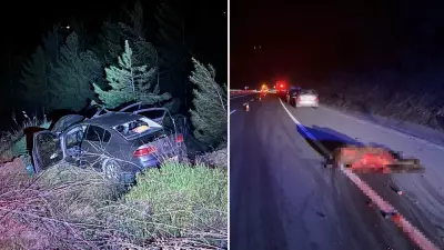 Karabük'te Başıboş Ata Çarpan Araçta 3 Kişi Yaralandı, At Telef Oldu