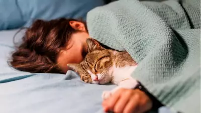 Kediler Üzgün Olduğunuzu Gerçekten Fark Ediyor: Bilimsel Araştırma