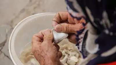 Kenger sakızının kilosu çeyrek altın değerinde! Doğal altın olarak anılıyor