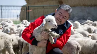 Küçükbaşa Destek Projesi: Aylık 15 Bin, Yıllık 180 Bin Lira Hibe