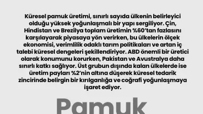 Küresel Pamuk Üretiminde Lider Ülkeler ve Piyasa Yoğunlaşması