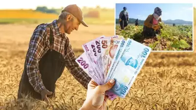 Kırsal Kalkınma Yatırımlarına Yüzde 70'e Varan Hibe Desteği Başladı