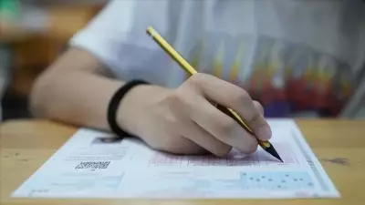 LGS'de son hazırlık: MEBİ'de nisan ayı örnek soruları yayımlandı