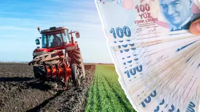 Mazot ve Gübre Desteği 2026 Ödemeleri: Son Durum ve Sorgulama Rehberi