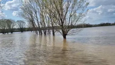 Meriç Nehri Taştı: Edirne'de Tarım Arazileri Sular Altında Kaldı