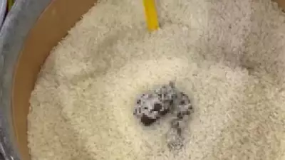 Mersin'de Açık Pirinçte Kedi Dışkısı Skandalı: Markete 52 Bin TL Ceza