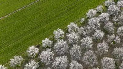 Meteoroloji'den Kritik Zirai Don Uyarısı: Sabah Saatlerine Dikkat!