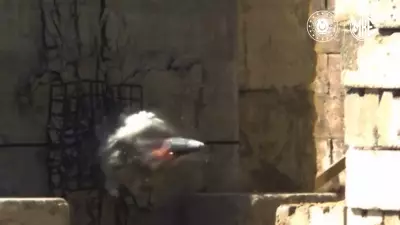 MKE'den Hava Kuvvetleri'ne Güçlendirici Teslimat: NEB Bombaları Envantere Katıldı