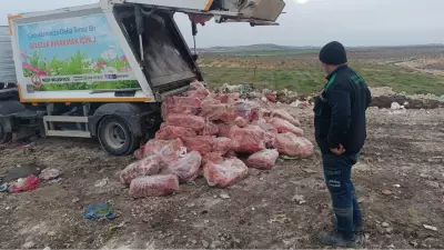 Nizip'te Sağlıksız Koşullarda Taşınan 1.6 Ton Sakatat İmha Edildi