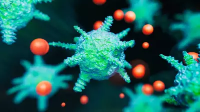 Norovirüs Alarmı: Kreş ve Okullarda Hızla Yayılıyor, Çocukları Yatağa Düşürüyor!