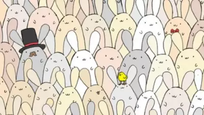 Optik İllüzyon Şampiyonası: Tavşanlar Arasındaki Yumurtayı 30 Saniyede Bulun