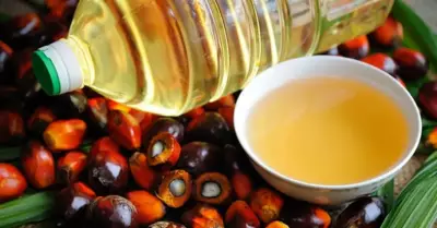 Palm ve Soya Yağı Arasındaki Fiyat Makası 25 Yılın Zirvesine Çıktı