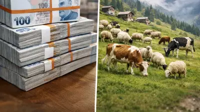 Patnos'ta Çoban Krizi: 120 Bin Lira Maaşa Rağmen Yaylalar Boş Kalıyor