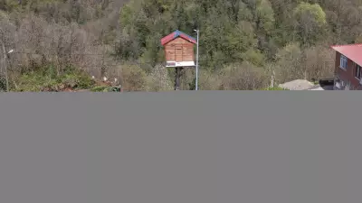 Rize'de Çocukluk Hayali Gerçek Oldu: 7 Metre Yükseklikte Ağaç Ev İnşa Etti