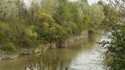 Sakarya Nehri'ne Düşen Çocuk Aranıyor: Erenler'de Balık Tutarken Kayboldu
