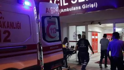 Siirt'te Acı Olay: Ağaç Budarken Kolunu Kesen 71 Yaşındaki Mehmet Sıddık Mantam Hayatını Kaybetti