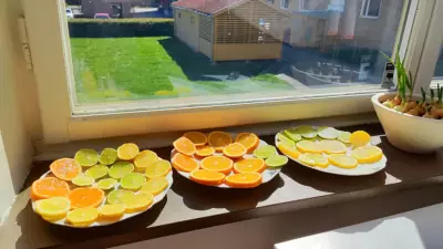 Sinekleri Doğal Yolla Uzaklaştırmanın Basit Yöntemi: Narenciye Kabukları