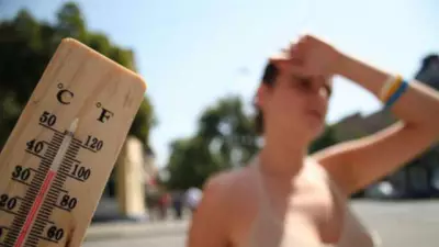 Süper El Nino 2026 Alarmı: Türkiye'yi Bekleyen Sıcaklık Rekorları ve Etkileri