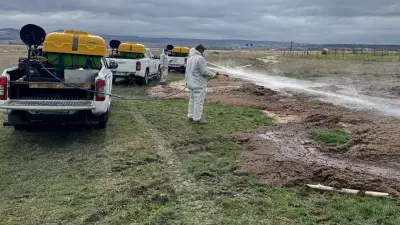 İstanbul Valiliği'nden Yaz Öncesi Karasinek, Sivrisinek ve Kene Genelgesi
