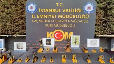 İstanbul'da tarihi eser operasyonu: 12 gözaltı, 374 eser ele geçirildi