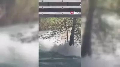 Tarsus'ta Berdan Irmağı'na Atlayan Gencin Son Anları Kamerada