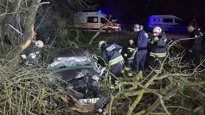 Tekirdağ'da Trajik Kaza: Otomobil Ormanlık Alana Devrildi, 1 Kişi Hayatını Kaybetti
