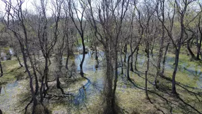 UNESCO Listesindeki Kızılırmak Deltası Yağışlarla Canlanıyor