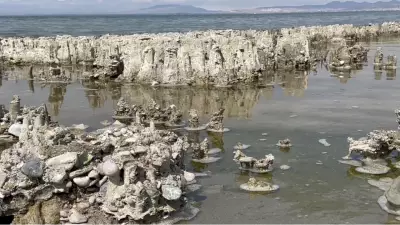 Van Gölü'ndeki Mikrobiyalitler Guinness Rekorlar Kitabı'na Girmeye Hazırlanıyor