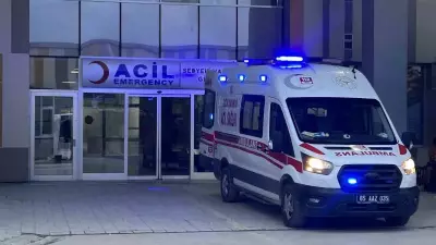 Van'da başıboş köpeklerin saldırdığı 5 yaşındaki çocuk hayatını kaybetti