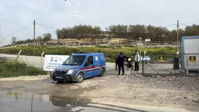 Yalova'daki Barınakta Köpek Ölümleri Soruşturması Başlatıldı