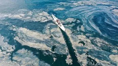 Yaz geliyor, müsilaj kâbusu geri mi dönüyor? Uzmanlar uyarıyor