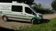 Adana Ceyhan'da Ormanlık Alanda Kimliği Belirsiz Erkek Cesedi Bulundu