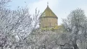 Akdamar Adası'nda Baharın Gelişiyle Doğa Canlandı