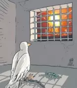 Cem Sancar: Hollywood'un Rambo'su ve Siyonizm İdeolojisi Üzerine Eleştiriler