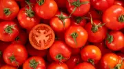 Dünyanın En İyi 10 Domatesi Açıklandı: Türkiye'den Bir Çeşit Listede!