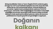 Doğanın Kalkanı Zayıflıyor: Küresel Orman Varlığı Alarm Veriyor